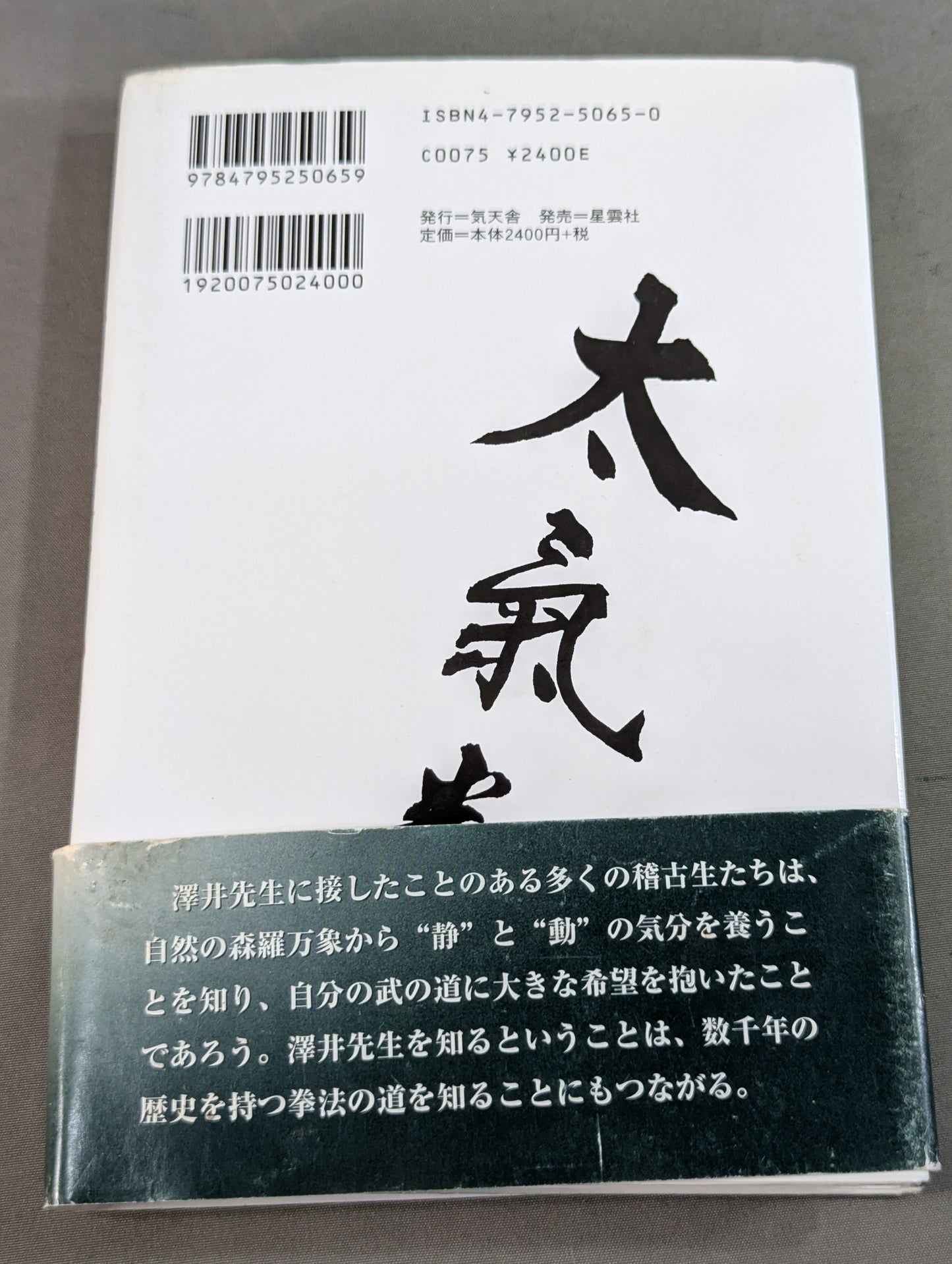 拳聖 澤井健一先生(新版)