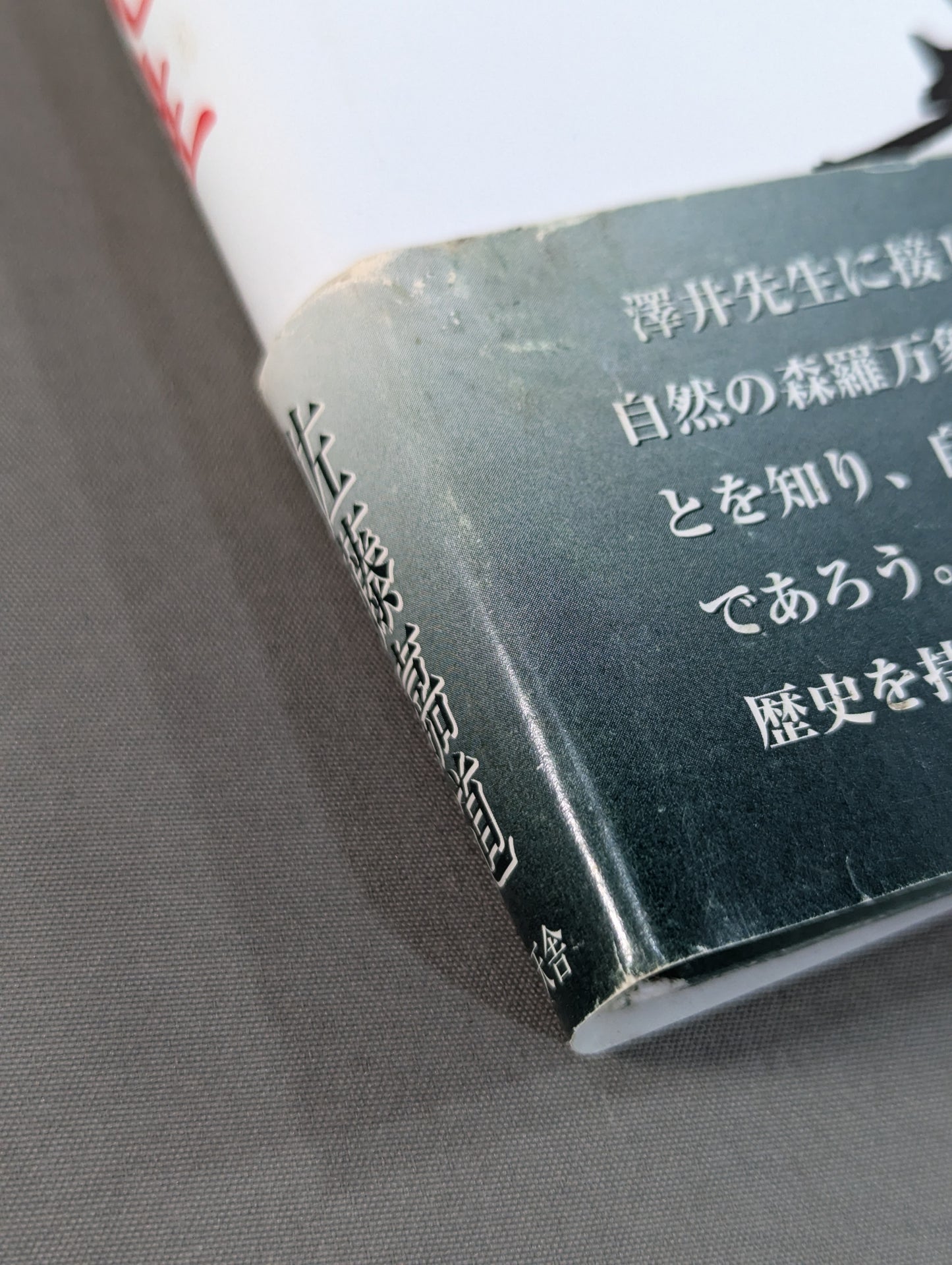 拳聖 澤井健一先生(新版)