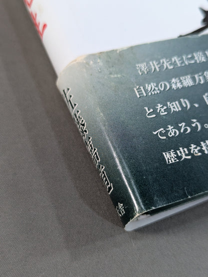 拳聖 澤井健一先生(新版)