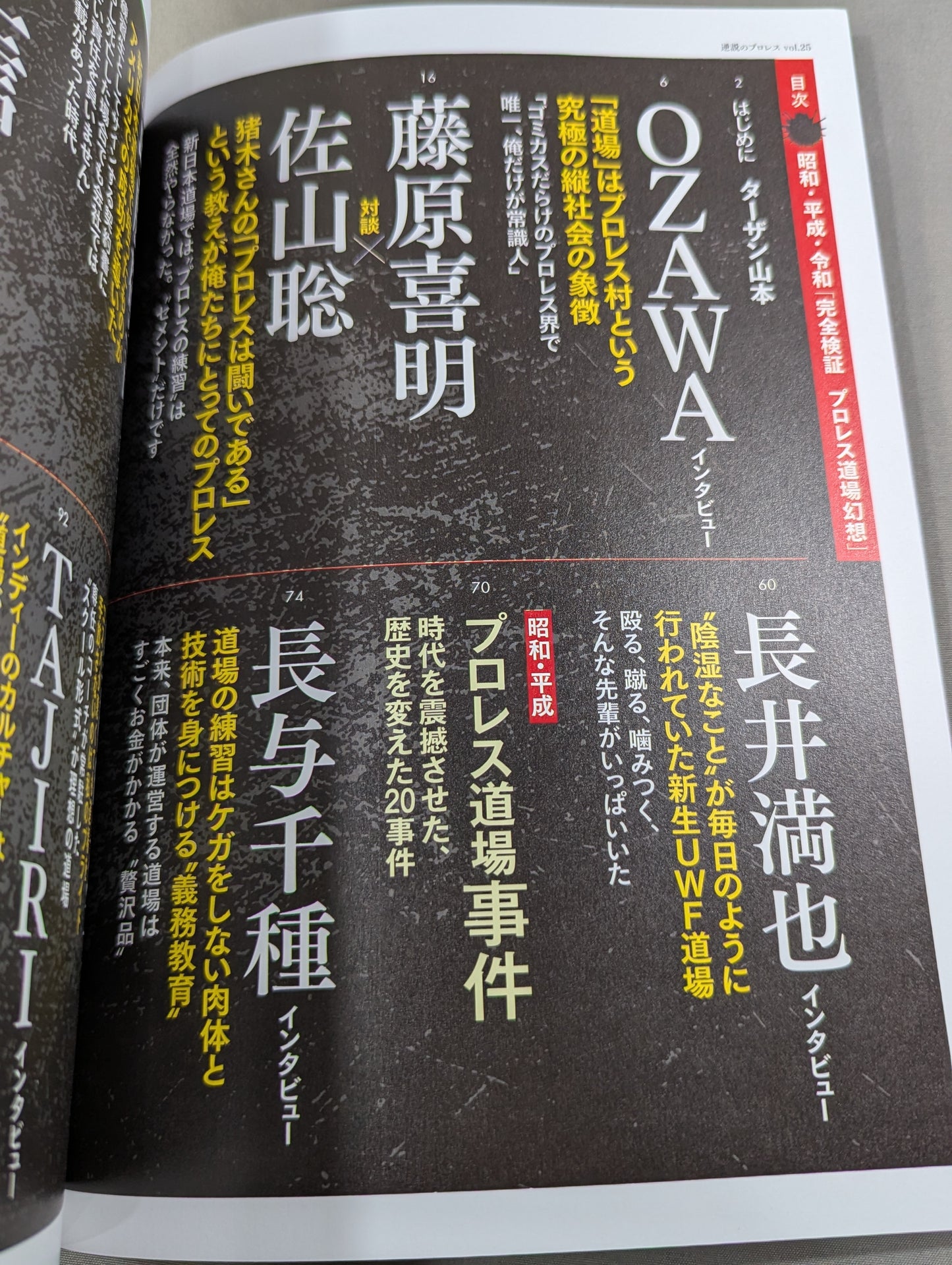 シリーズ 逆説のプロレス Vol.25  昭和 平成 令和「完全検証 プロレス道場 幻想」
