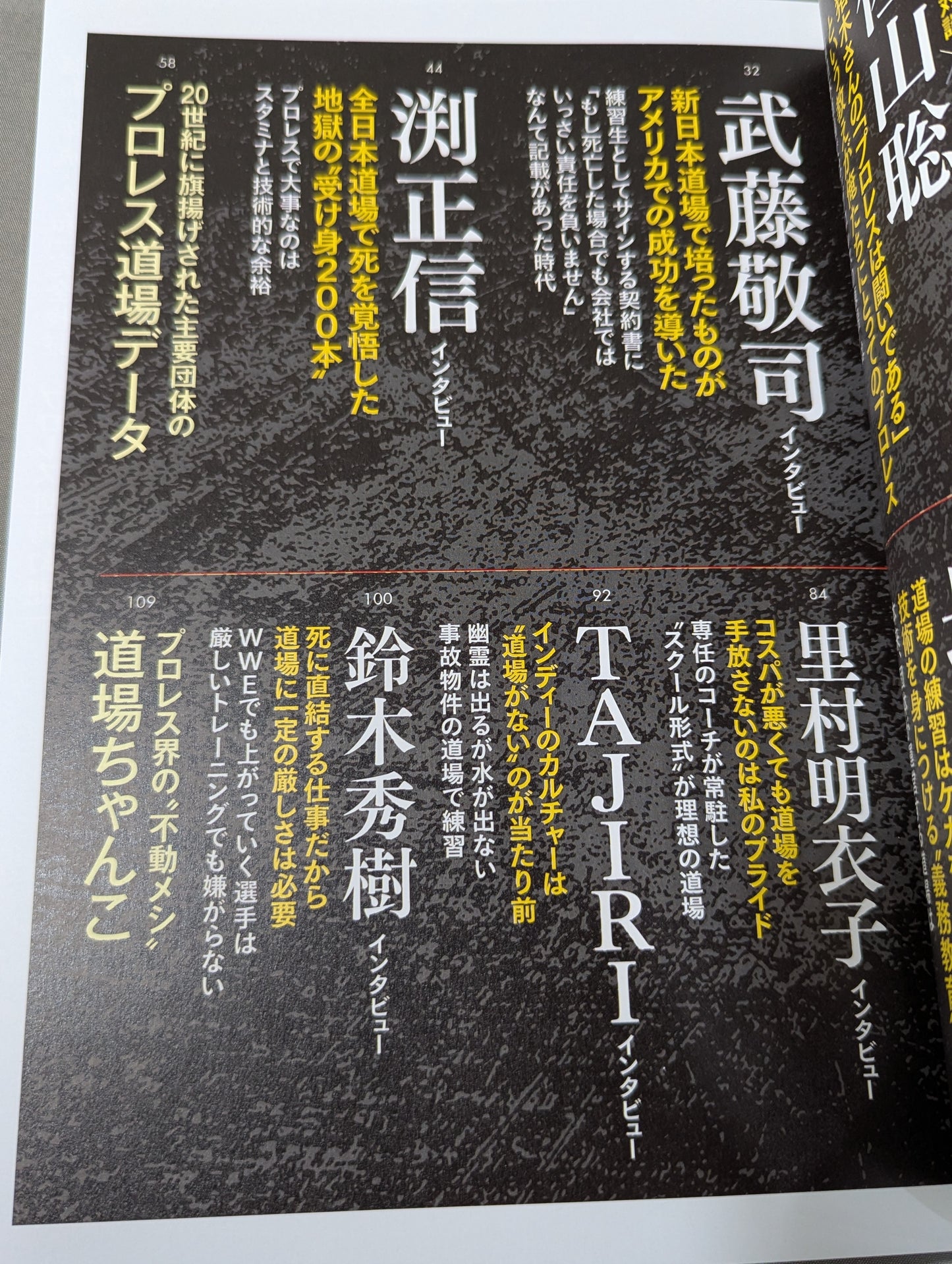 シリーズ 逆説のプロレス Vol.25  昭和 平成 令和「完全検証 プロレス道場 幻想」