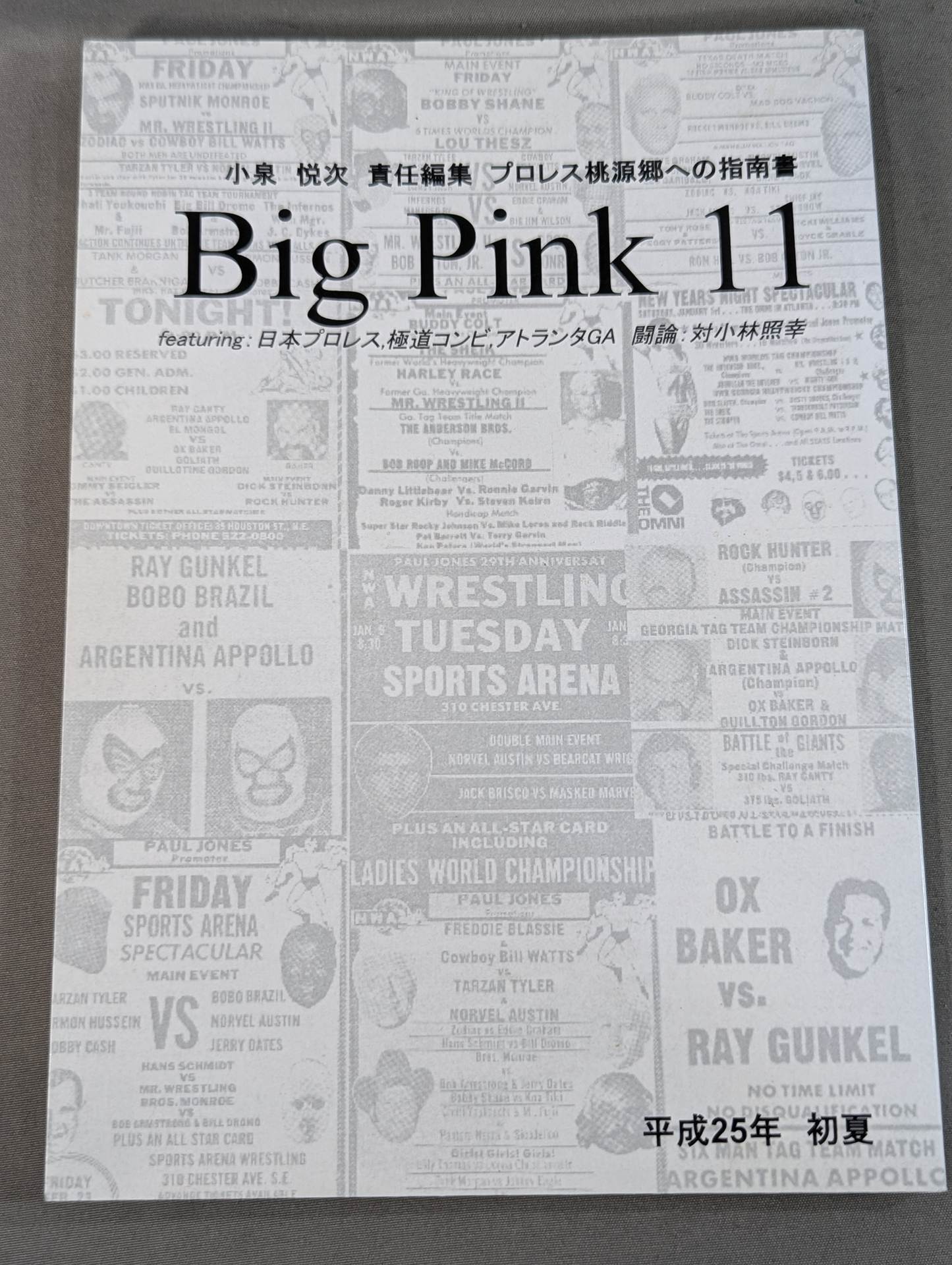 Big Pink 11 – 闘道館