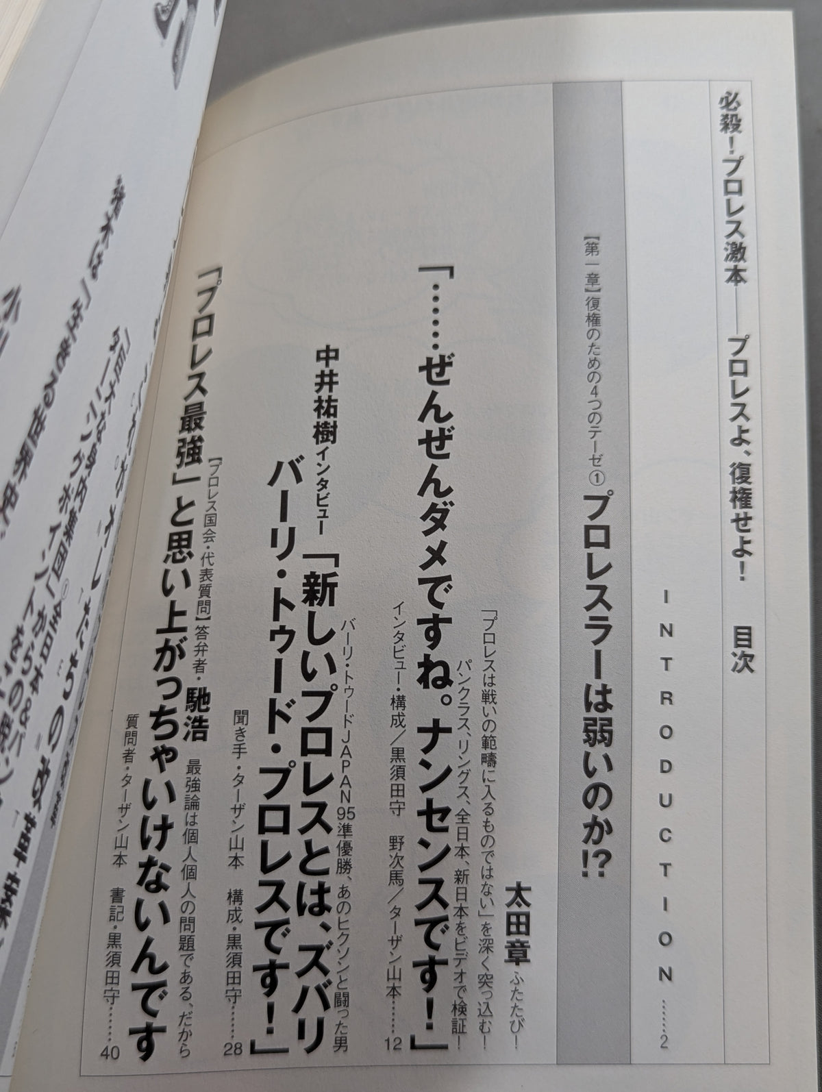 必殺！プロレス激本2 もういちど言う プロレスよ、復権せよ！