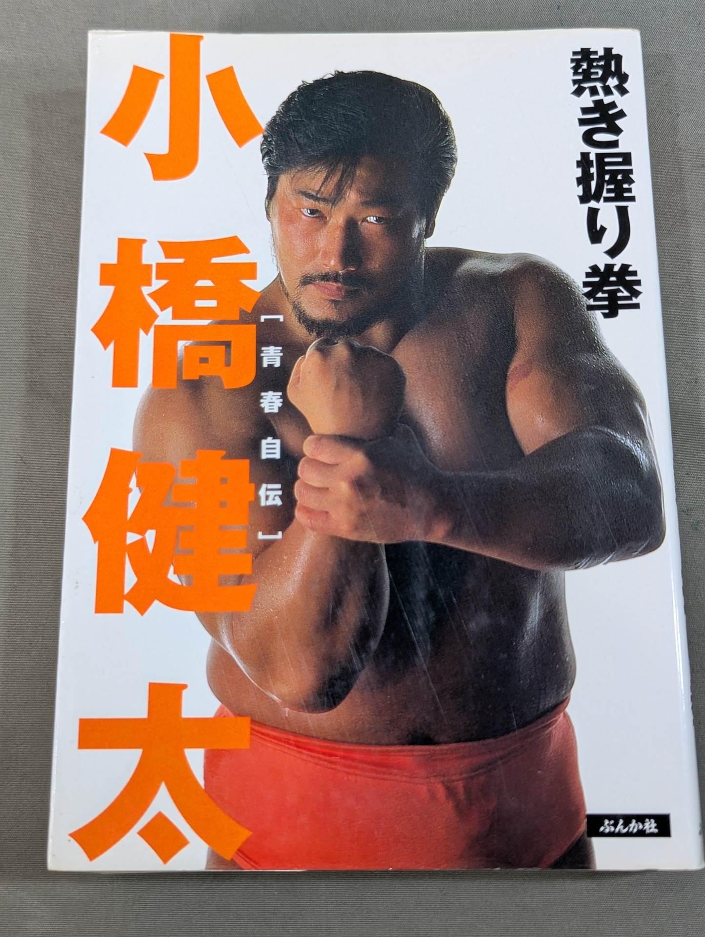 小橋健太 青春自伝 熱き握り拳