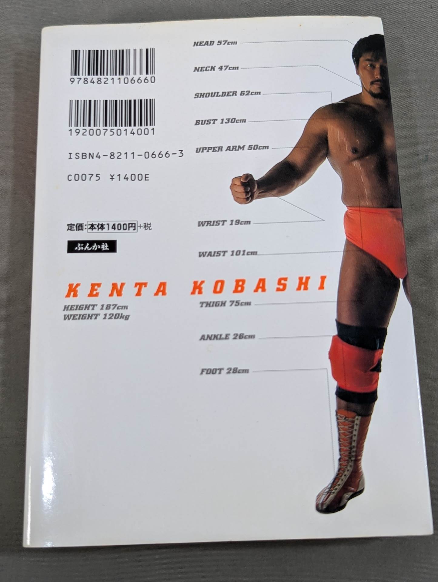 小橋健太 青春自伝 熱き握り拳