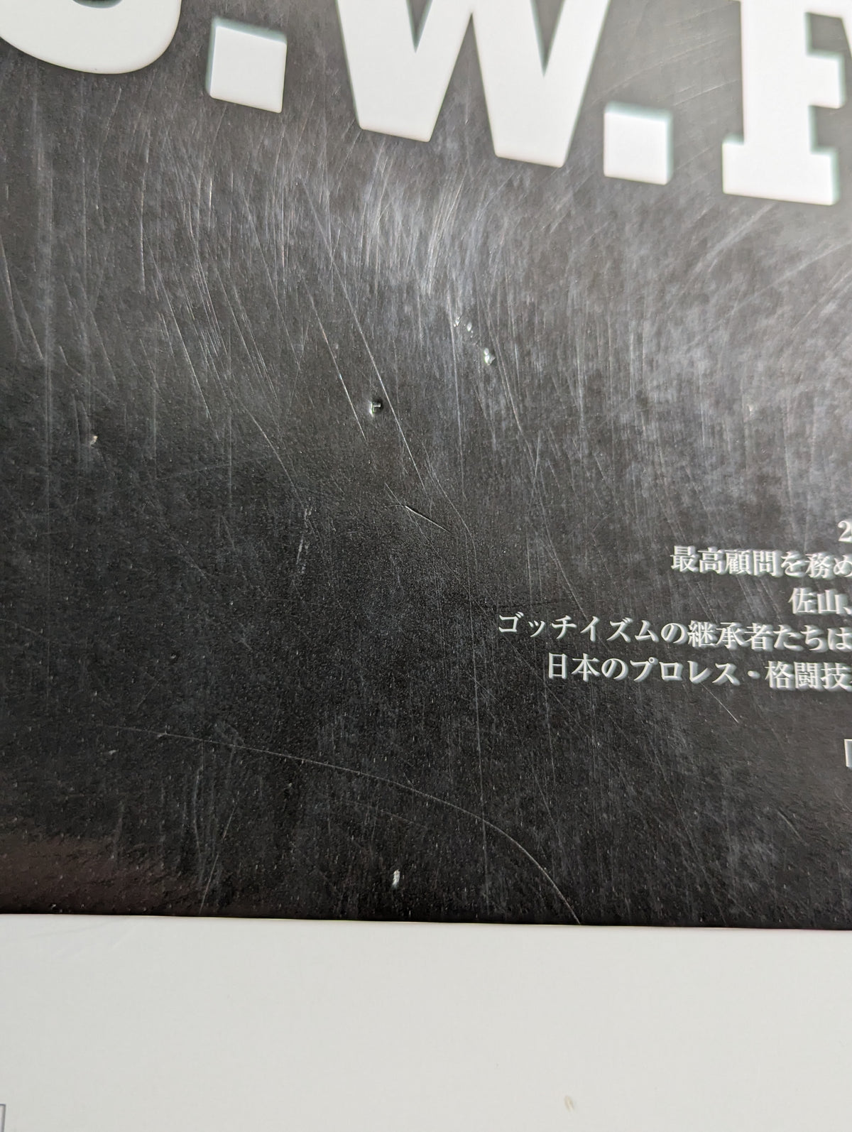 別冊宝島1462 U.W.F.伝説｢プロレス｣と｢格闘技｣の間を漂流した"実験的団体"の真実