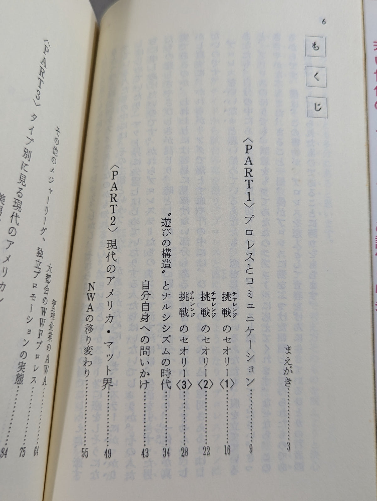 Itoshi no Pro Wrestling in America