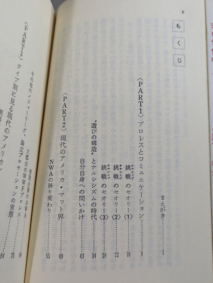 Itoshi no Pro Wrestling in America