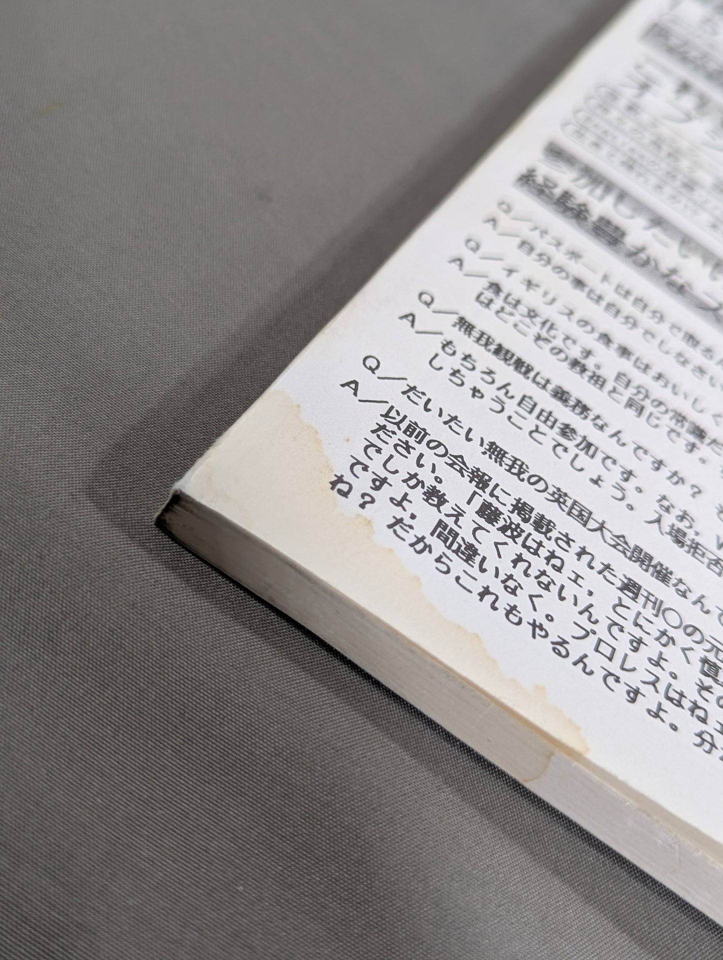 ★ Tatsumi Fujinami Fan Club Toryu ★ Newsletter No. 75