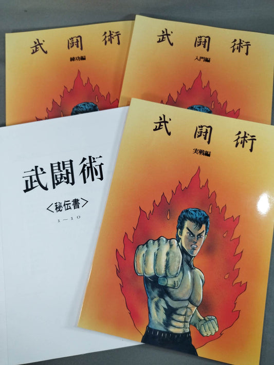武闘術 4冊セット(入門編/練功編/実践編/秘伝書)