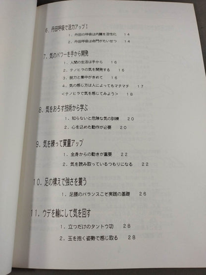 武闘術 4冊セット(入門編/練功編/実践編/秘伝書)