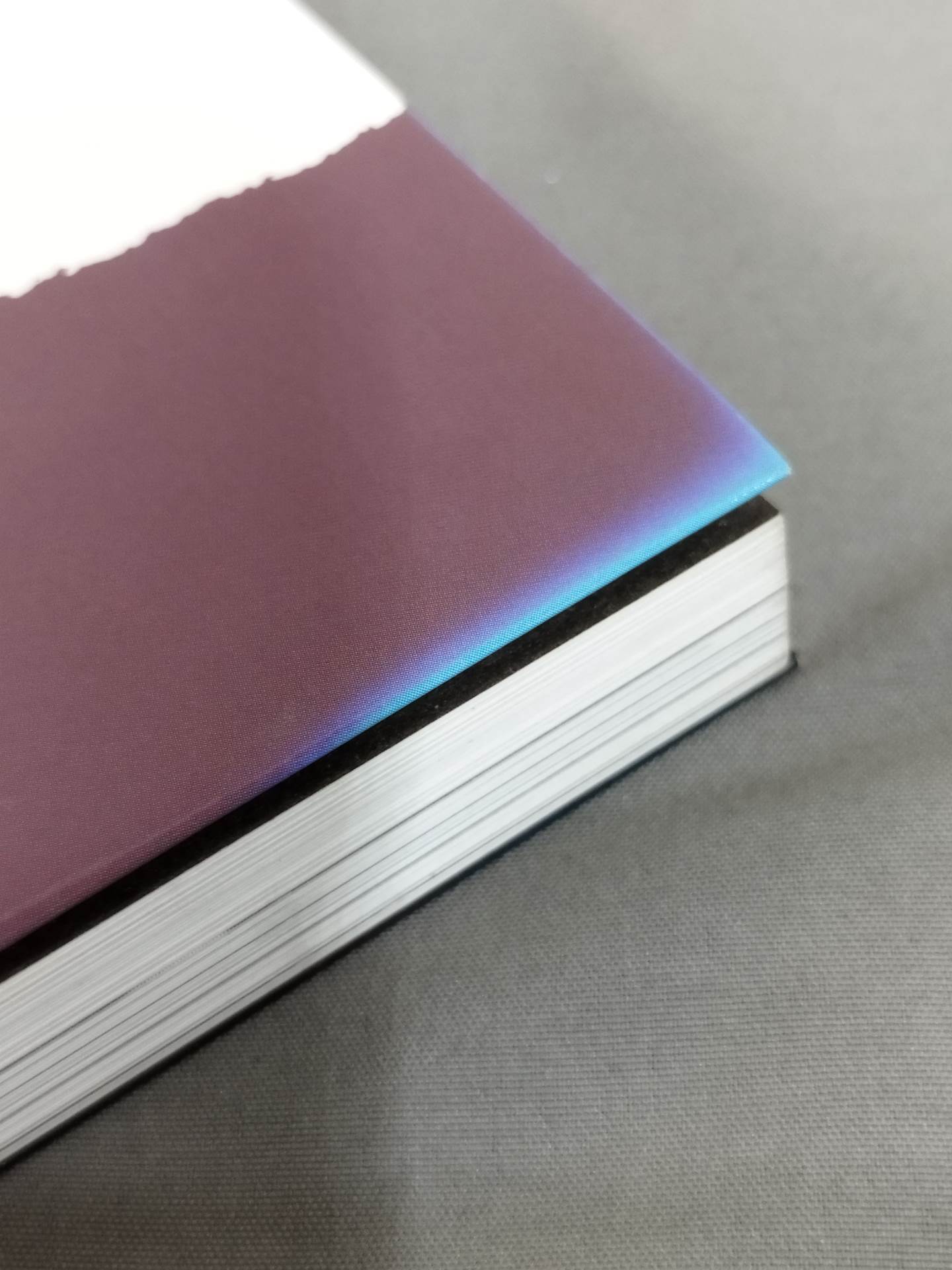 【直筆サイン入り】北斗晶が嫌われる理由