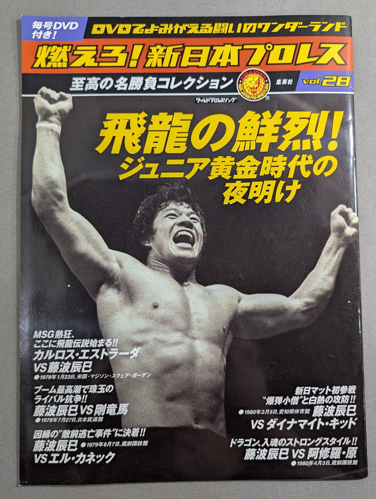 Burn! New Japan Pro Wrestling  vol.28