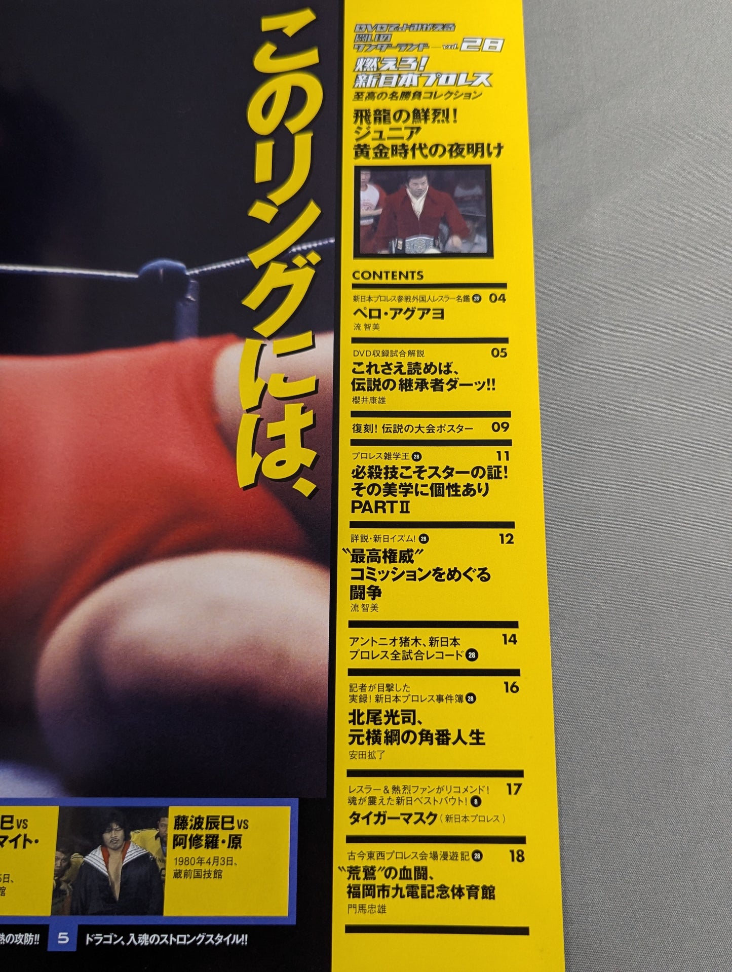 Burn! New Japan Pro Wrestling  vol.28