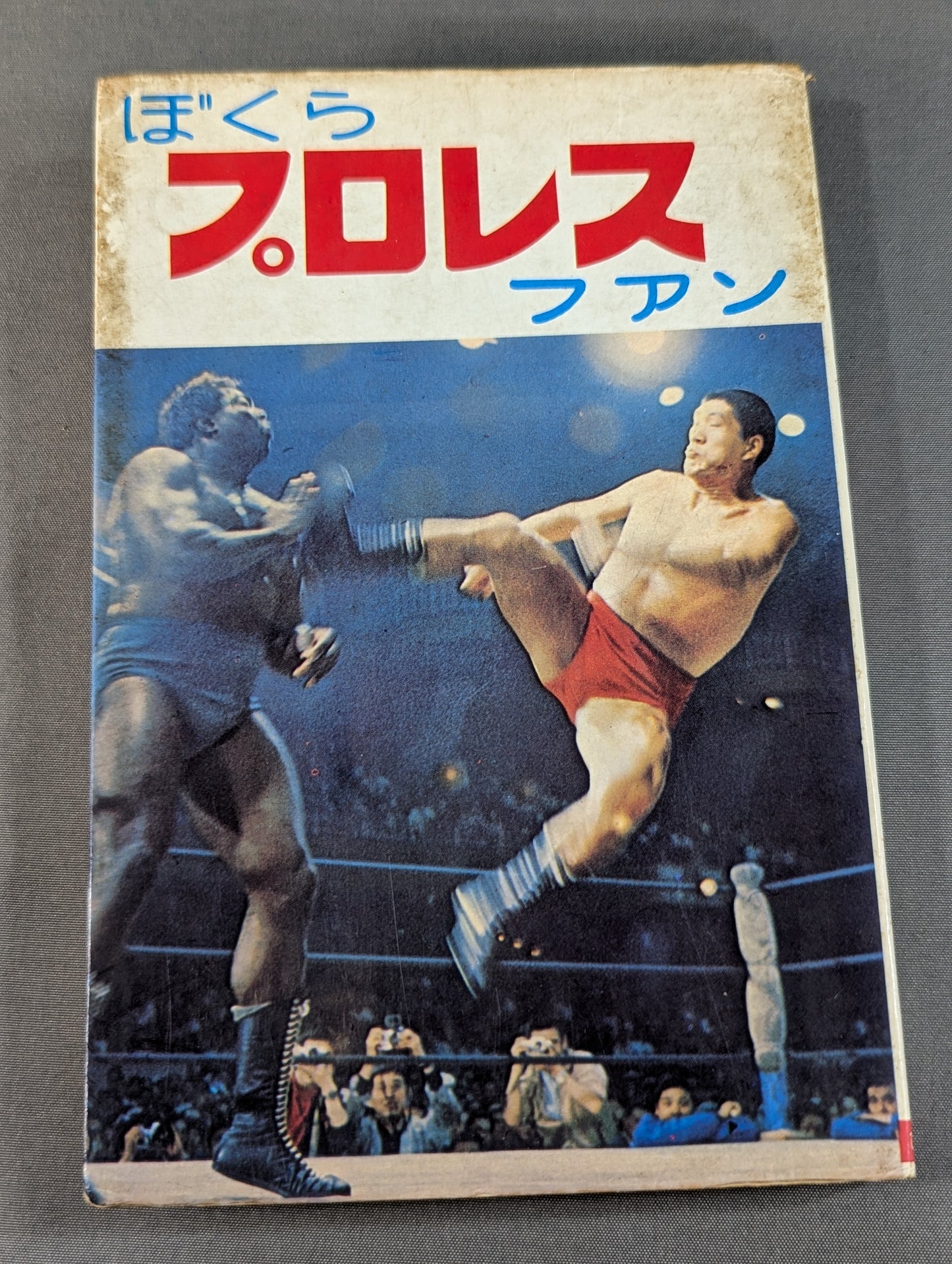 ぼくらプロレスファン ジュニア入門百科⑬