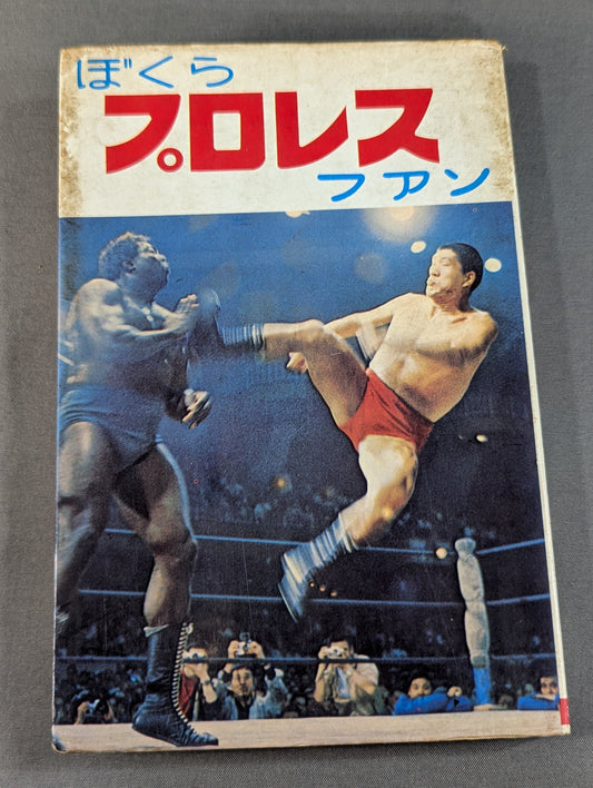 Our Pro Wrestling Fan Junior Introductory Encyclopedia (13)