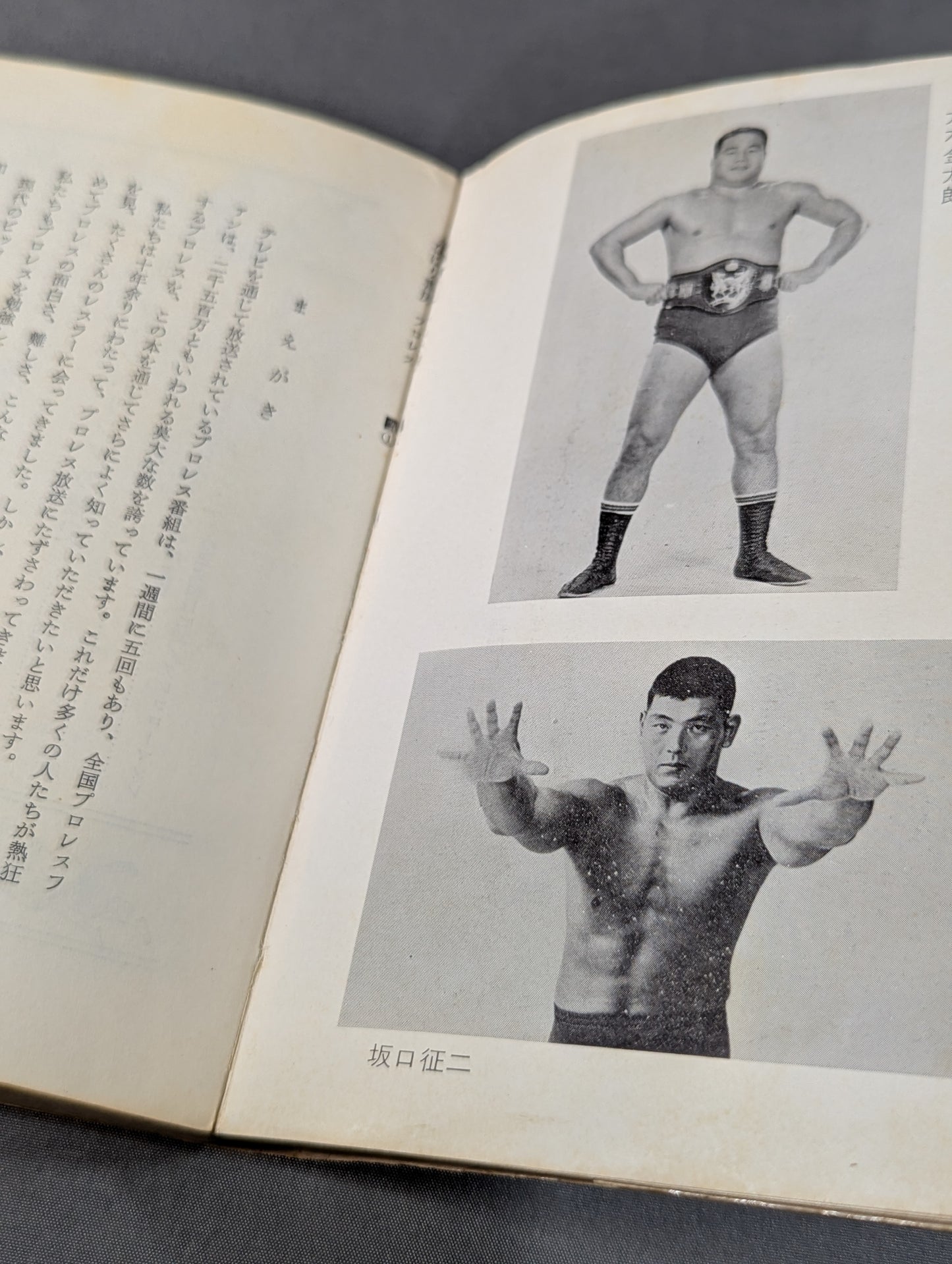 ぼくらプロレスファン ジュニア入門百科⑬