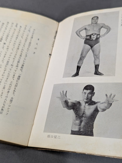 ぼくらプロレスファン ジュニア入門百科⑬