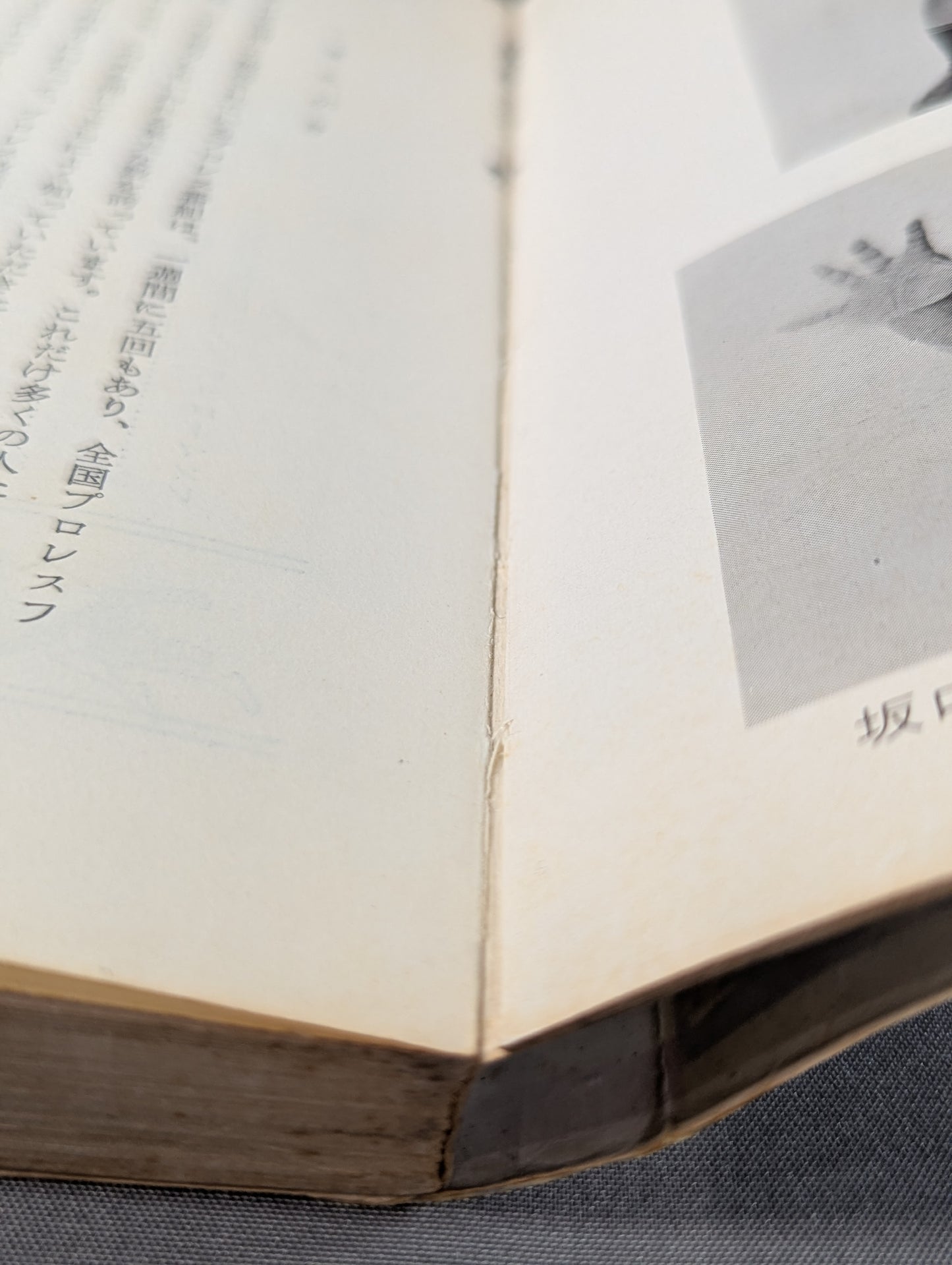 ぼくらプロレスファン ジュニア入門百科⑬