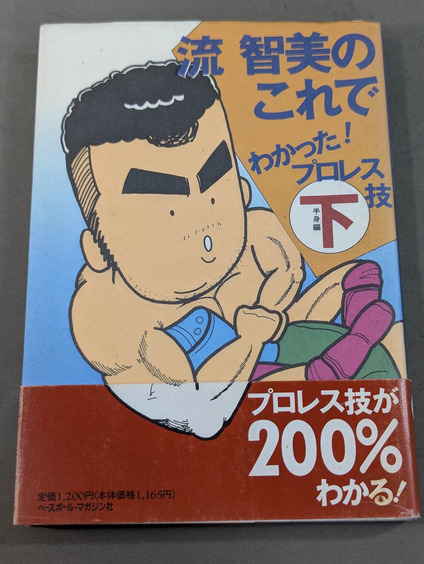 I understand this from Tomomi Ryu! Pro Wrestling Technique Lower Body Edition