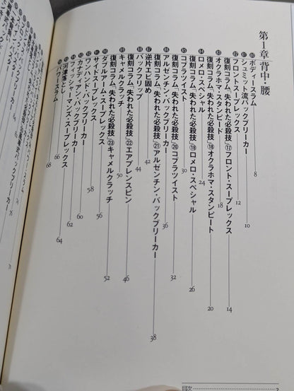 I understand this from Tomomi Ryu! Pro Wrestling Technique Lower Body Edition