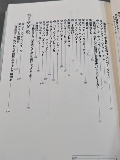 I understand this from Tomomi Ryu! Pro Wrestling Technique Lower Body Edition