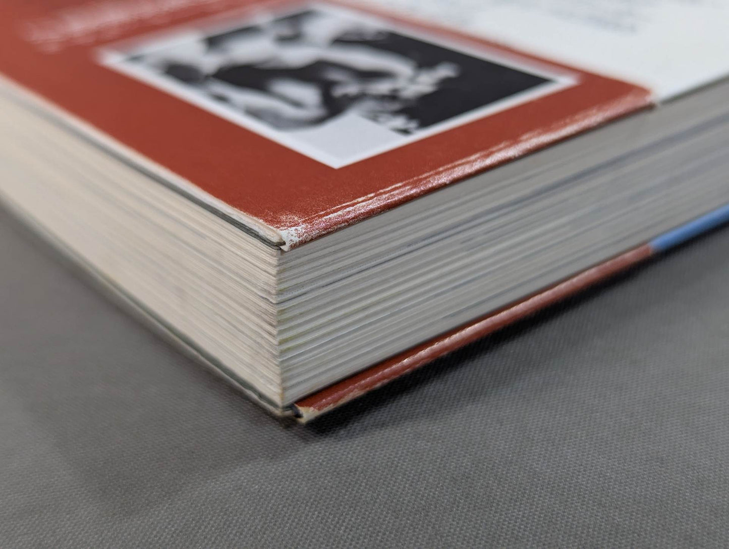 I understand this from Tomomi Ryu! Pro Wrestling Technique Lower Body Edition