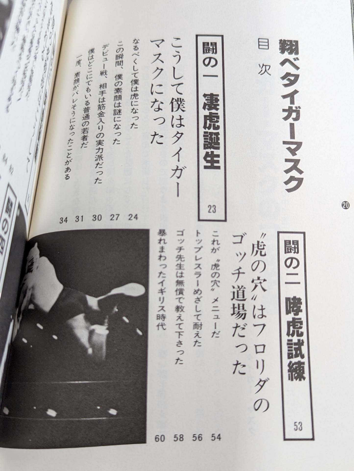翔べタイガーマスク