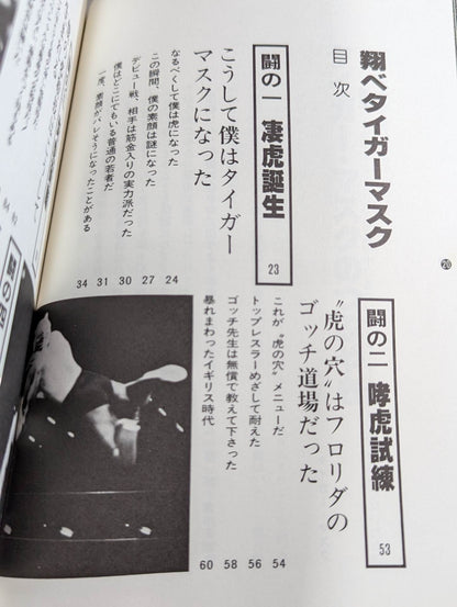 翔べタイガーマスク