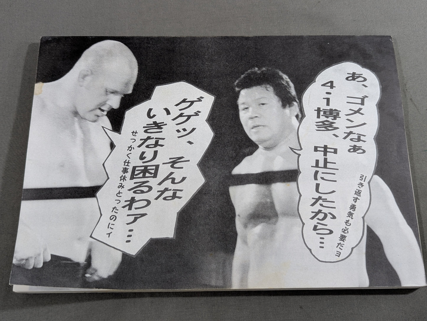 ★藤波辰爾ファンクラブ闘竜★ 会報第73号