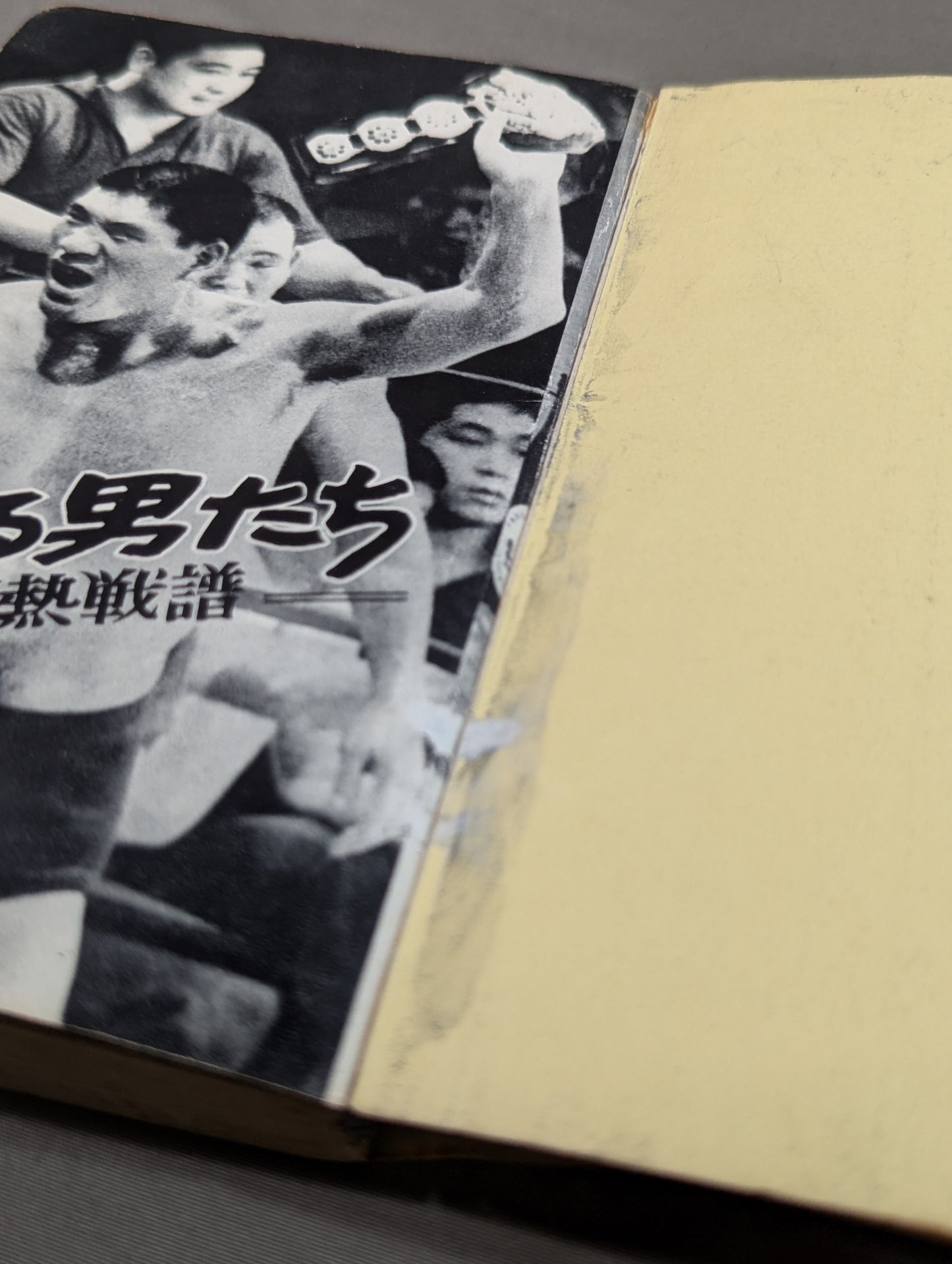 プロレス血風録 世界を制覇する怒涛の男たち