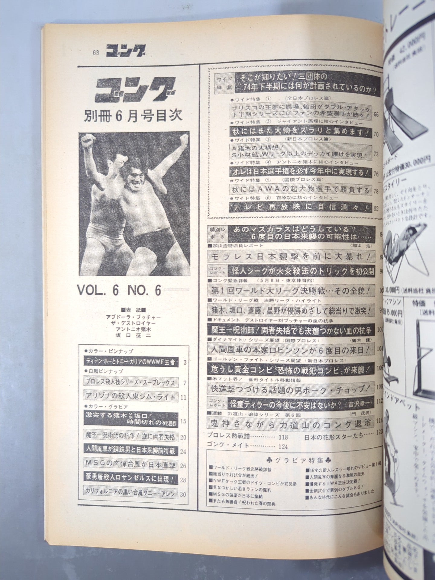 別冊ゴングVol.6 No.6