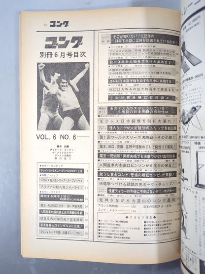 別冊ゴングVol.6 No.6