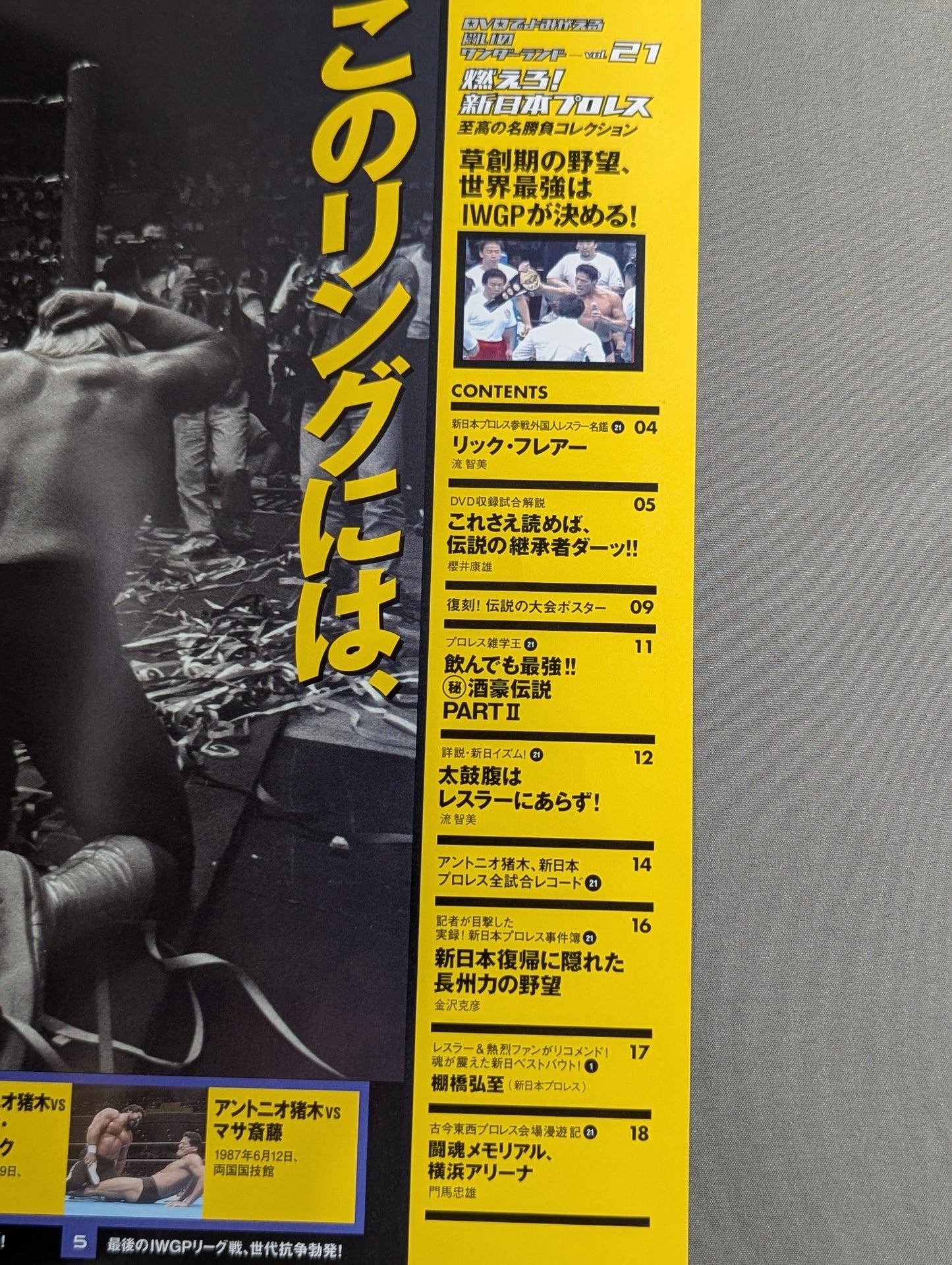 燃えろ!新日本プロレス vol.21