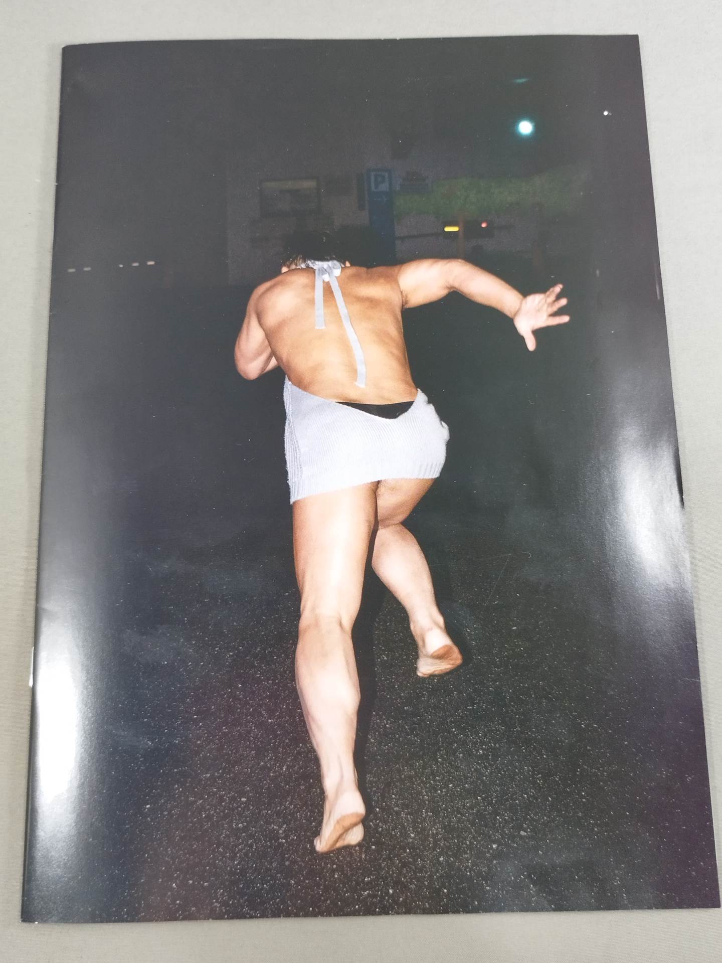 【hand signed autograph】 Hikaru Sato Photo  Collection "Monthly Hikaru Sato "