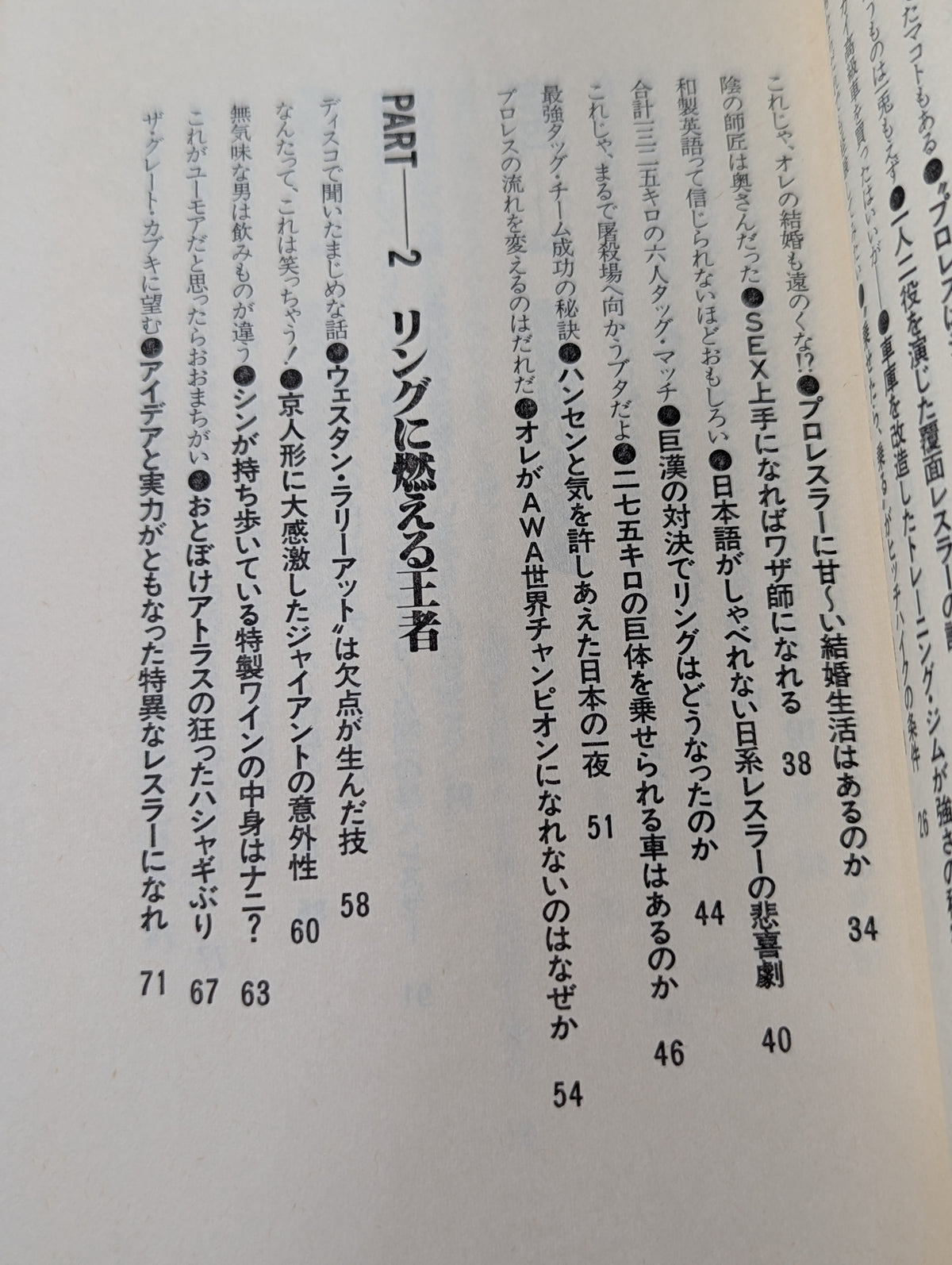 プロレス 仁義なき大戦争 明日なきファイト