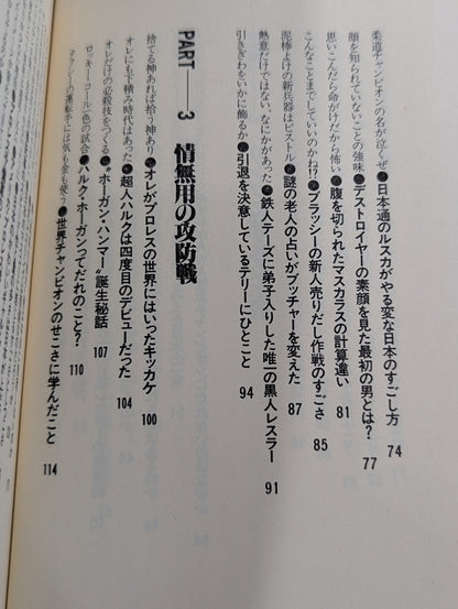 プロレス 仁義なき大戦争 明日なきファイト