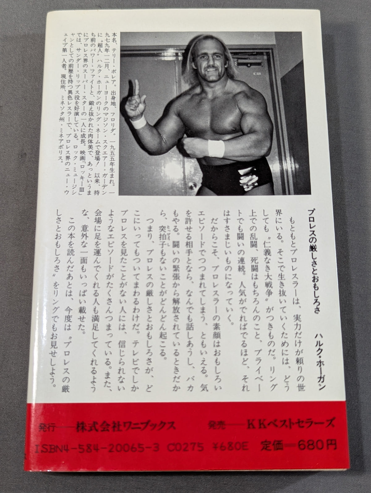 プロレス 仁義なき大戦争 明日なきファイト
