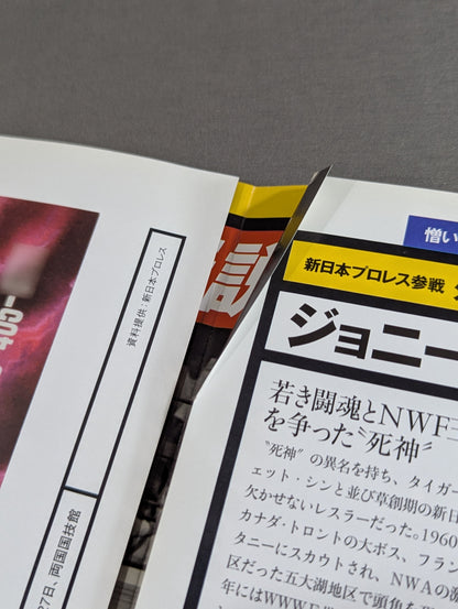 燃えろ!新日本プロレス vol.20