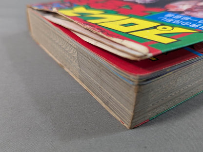 プロレス大全科