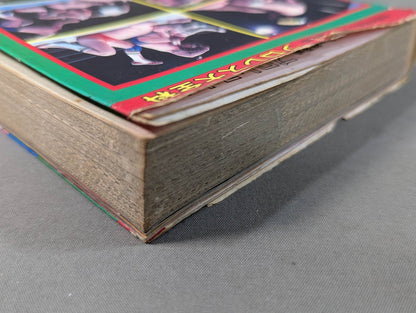 プロレス大全科