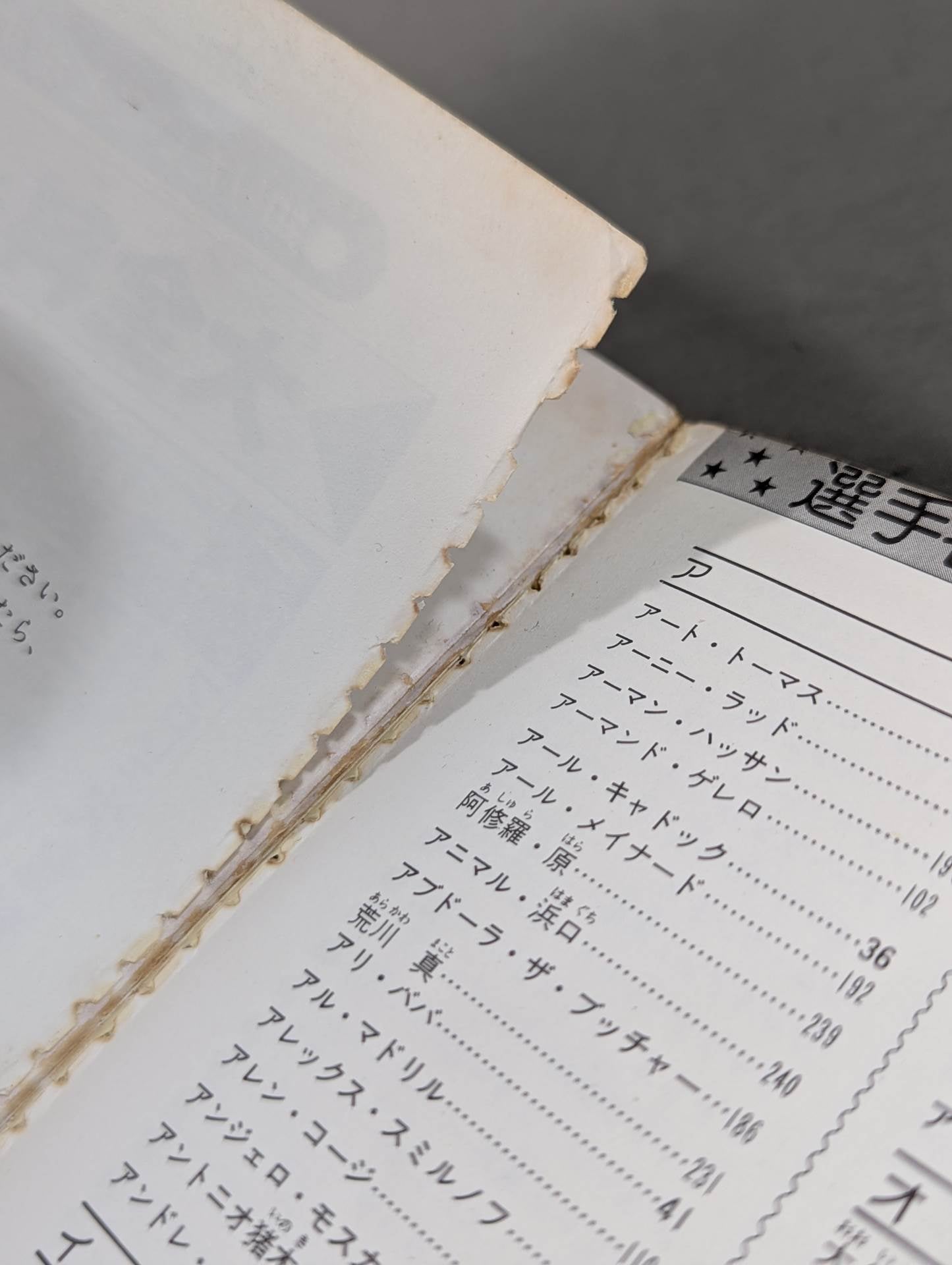 プロレス大全科