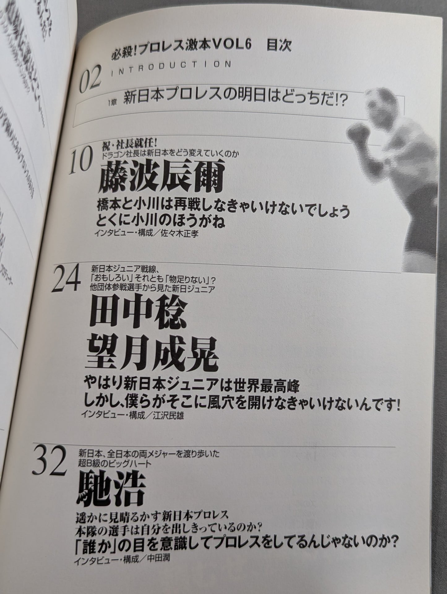 必殺！プロレス激本6 新日本プロレスの明日はどっちだ!?