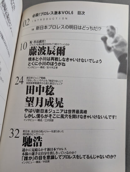 必殺！プロレス激本6 新日本プロレスの明日はどっちだ!?