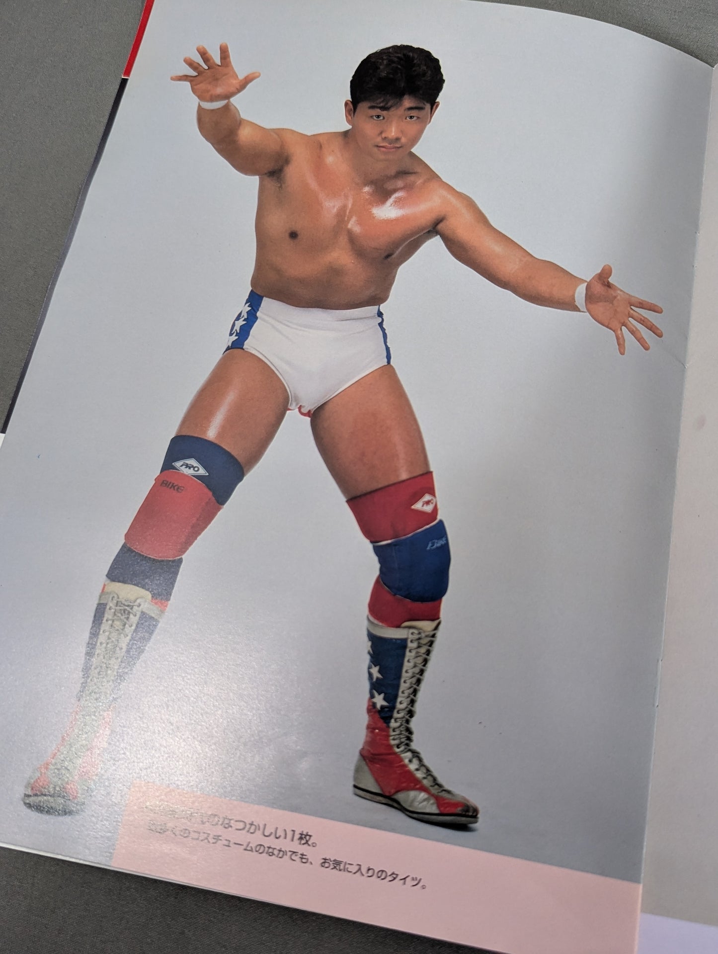 みちのくプロレス・アルバム Vol.2 テリー・ボーイ