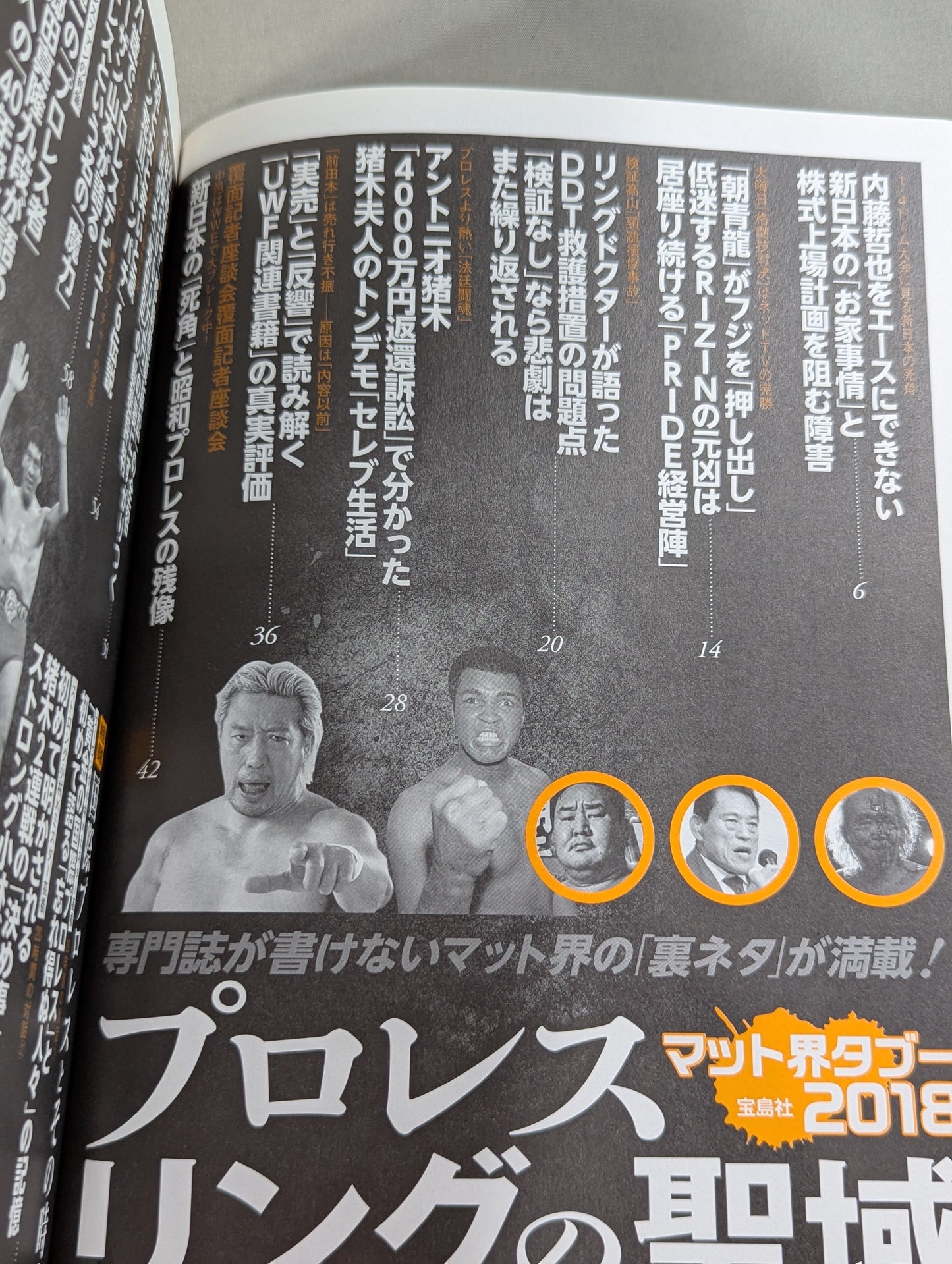 プロレスリングの聖域 専門誌が書けないマット界の「裏ネタ」が満載!