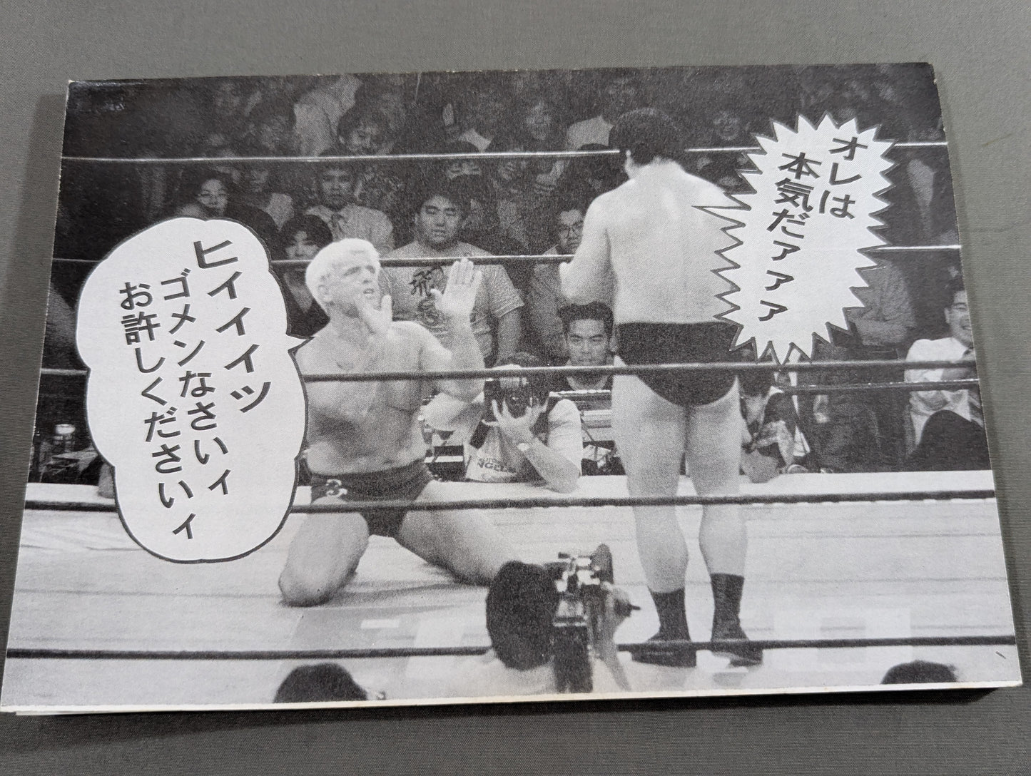 ★藤波辰爾ファンクラブ闘竜★ 会報第72号