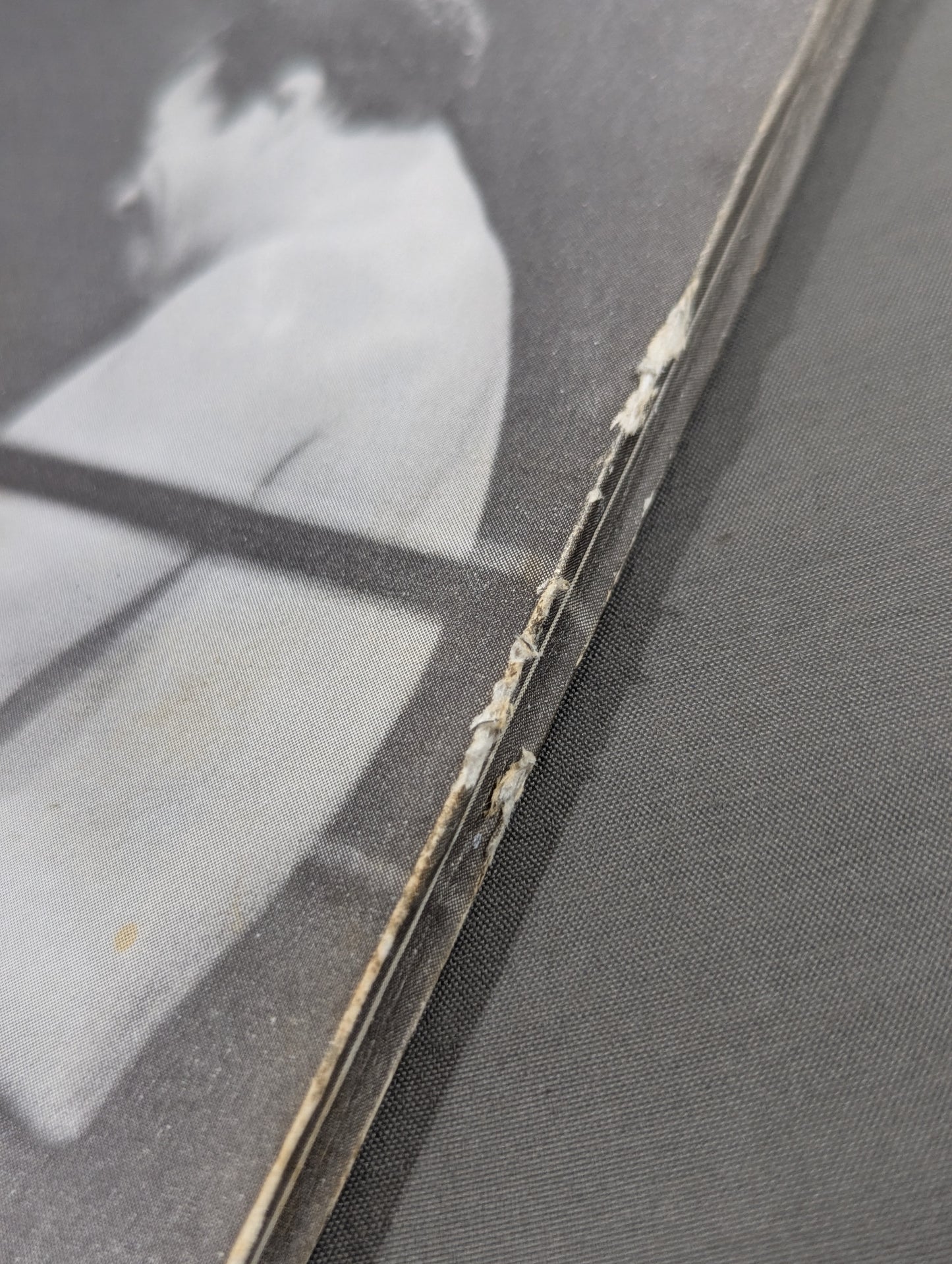 ★藤波辰爾ファンクラブ闘竜★ 会報第69号