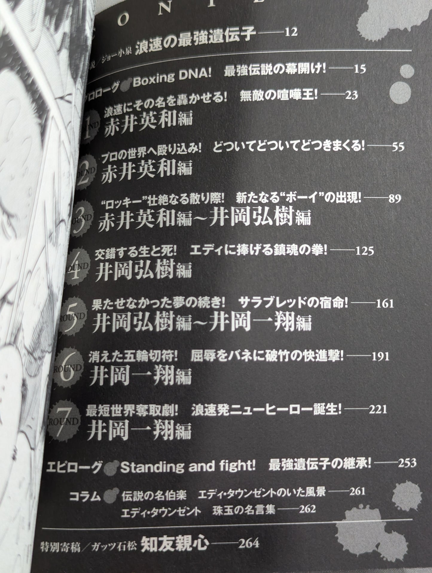 The Strongest Naniwa Legend: True Record of Boxing King