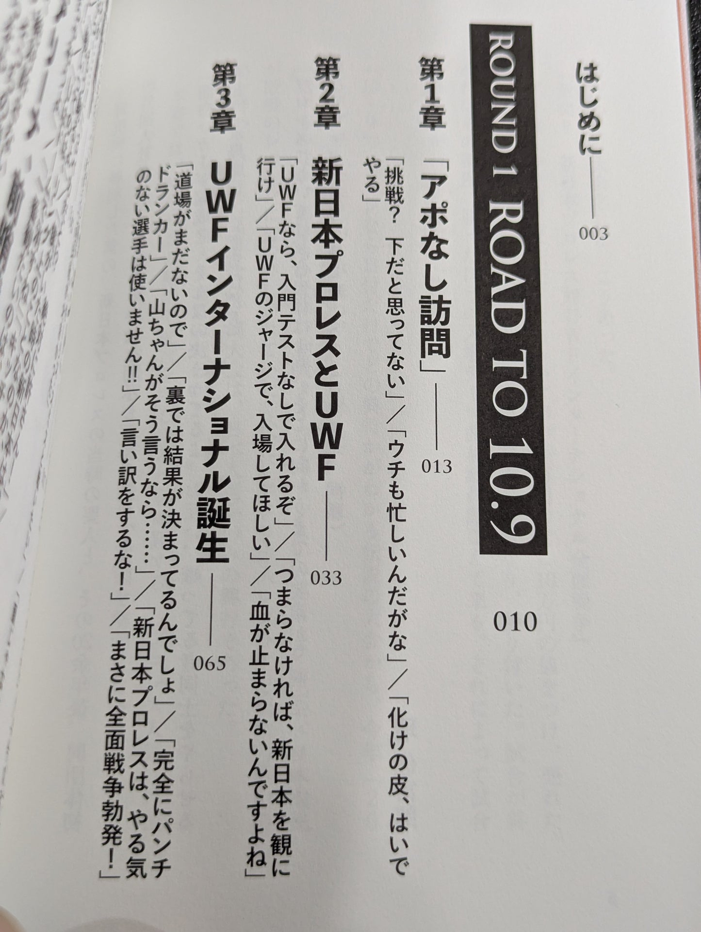 10.9 プロレスのいちばん熱い日　新日本プロレスvsUWFインターナショナル全面戦争　30年目の真実